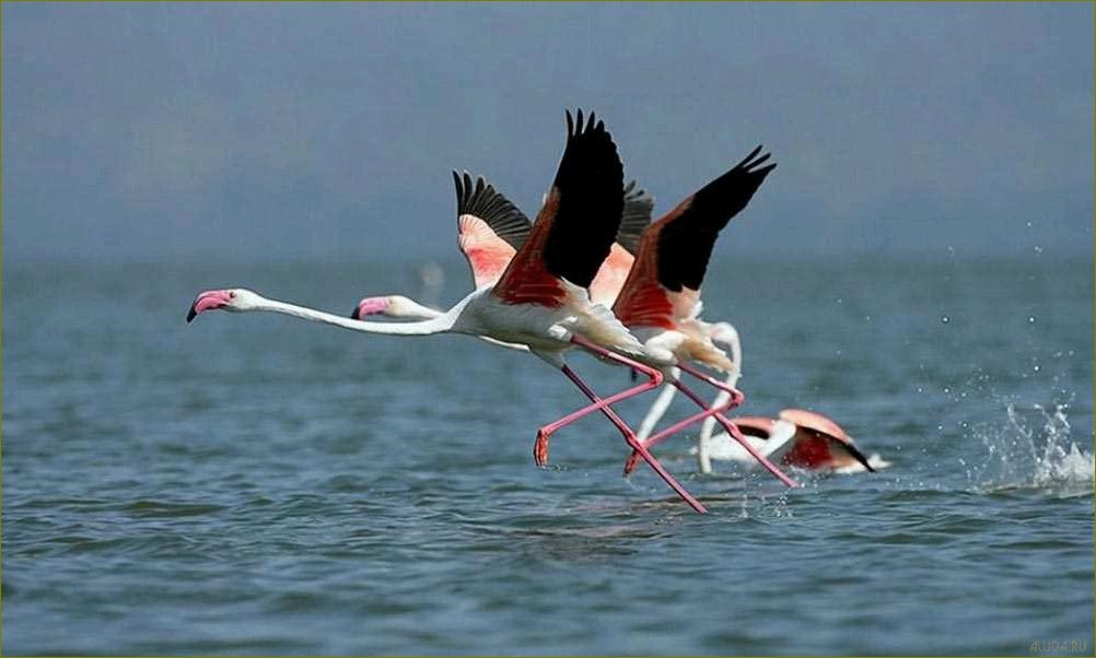 База отдыха 