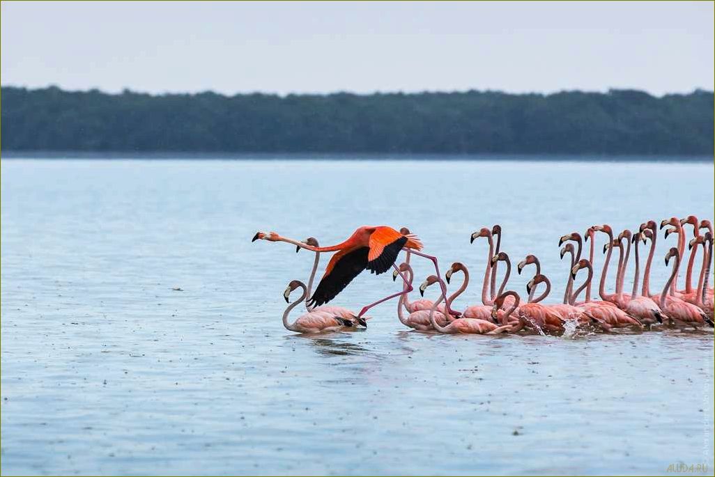 База отдыха 