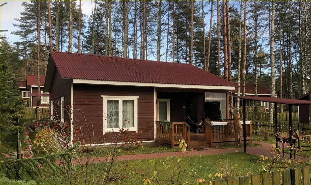 (база, отдыха, живописном, зеленогорске, ленинградской) База отдыха в живописном Зеленогорске Ленинградской области — идеальное место для расслабления и наслаждения природой