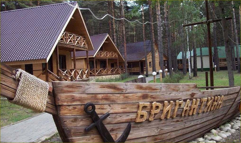 Лучшие базы отдыха Воронежа и Липецкой области — где провести незабываемые каникулы