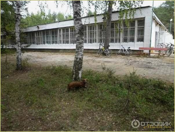 Отдых в базе 