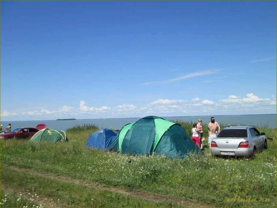 Чингисы Новосибирская область отдых дикарем