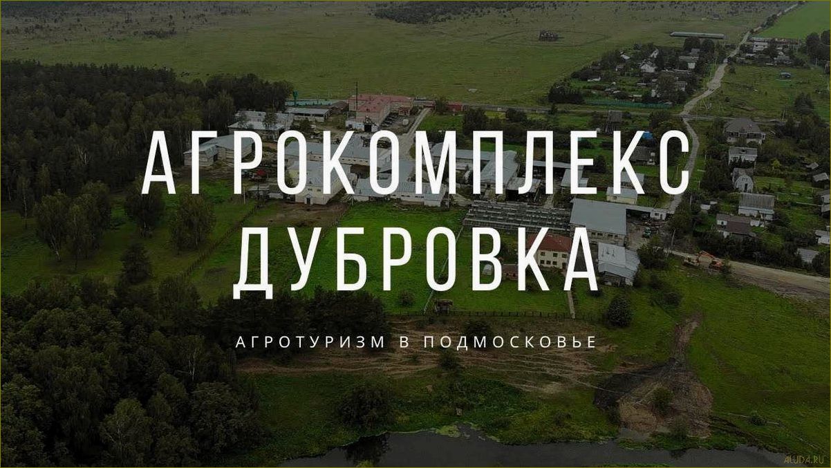 Дубровка владимирская область — идеальная база отдыха для любителей природы, активного отдыха и культурного наследия