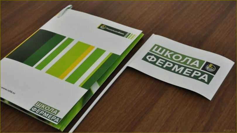 Гранты для развития туризма в Калининградской области — возможности финансовой поддержки для туристических проектов