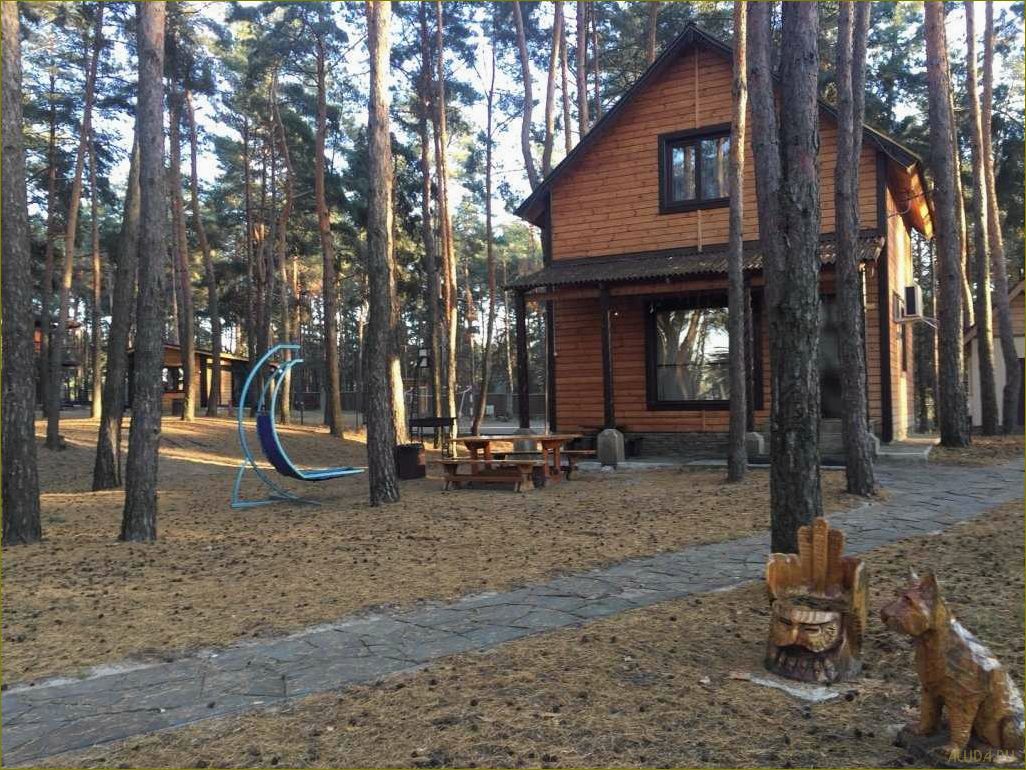 Маслова пристань — идеальная база отдыха в Белгородской области для любителей активного отдыха и уединения на природе