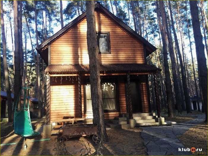 Маслова пристань — идеальная база отдыха в Белгородской области для любителей активного отдыха и уединения на природе