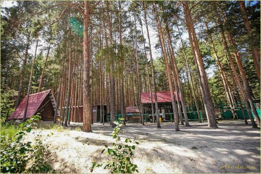 Отдых в Тюмени и Тюменской области
