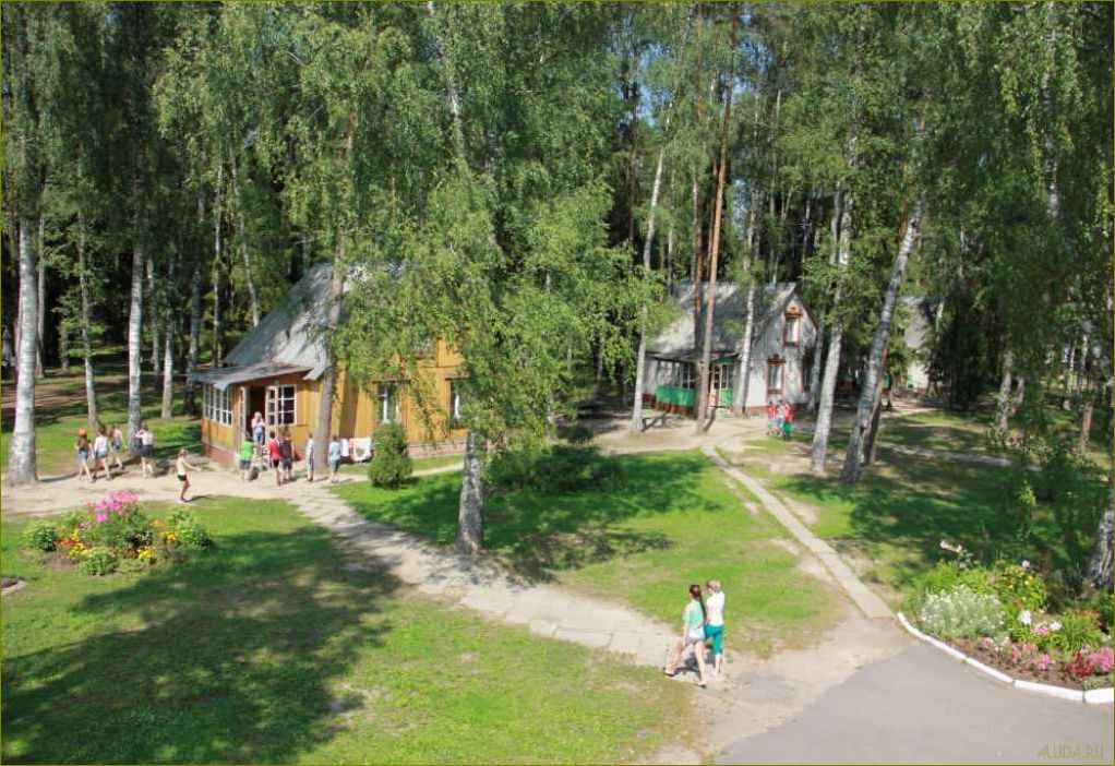 Отдых в зеленом городке Ивановская область — идеальное место для восстановления сил и наслаждения природой