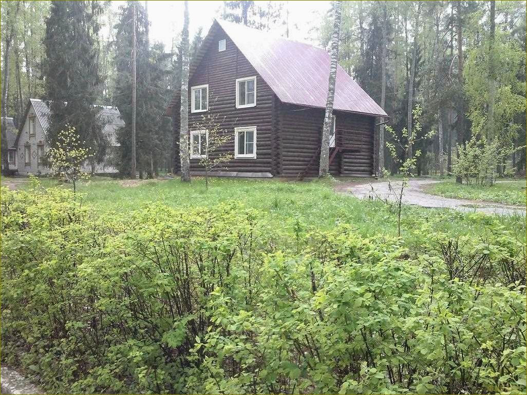 Отдых в зеленом городке Ивановская область — идеальное место для восстановления сил и наслаждения природой