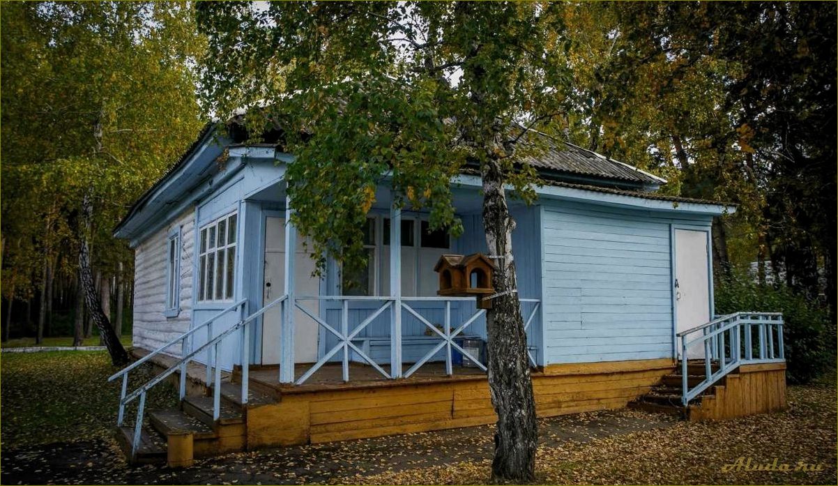 Отзывы туристов о домах отдыха в Омской области — наслаждайтесь красотами природы и комфортом проживания