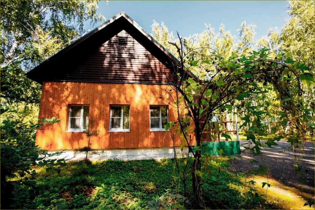 Лучшие базы отдыха Омской области — отзывы туристов, цены и условия проживания