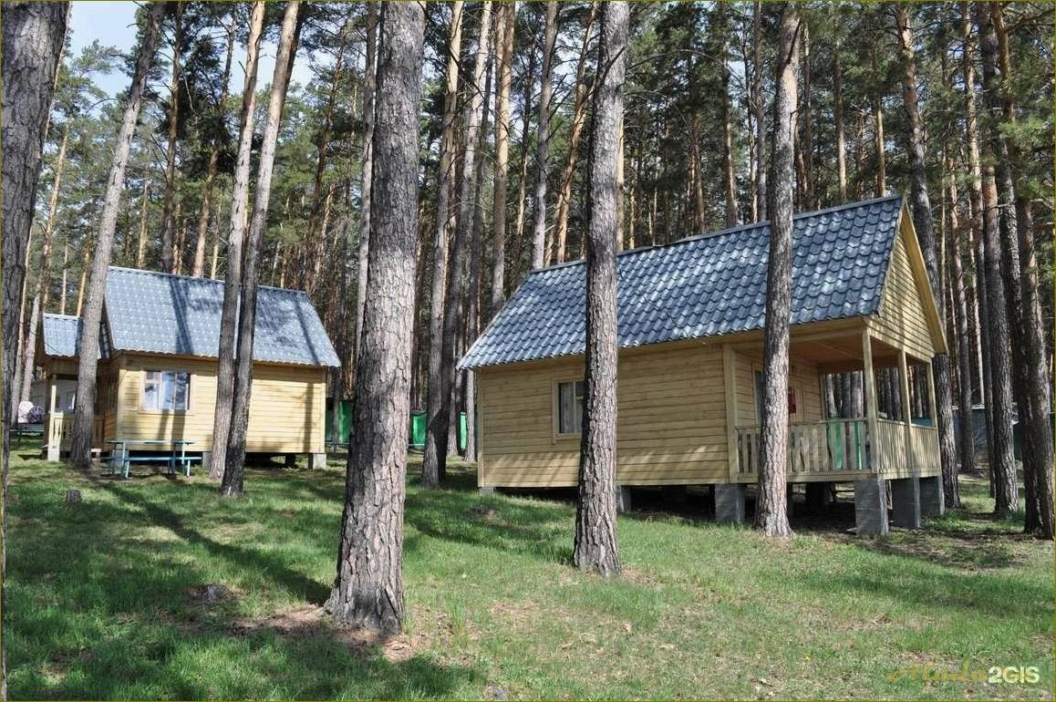 Полезные отзывы и рекомендации о базах отдыха в новосибирской области — выбирайте лучшее место для вашего отдыха!