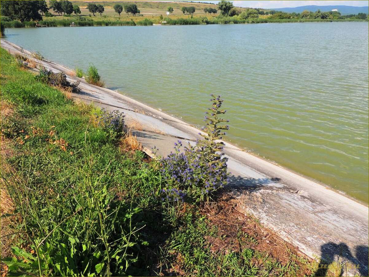 Пруды Орловской области — отдых без затрат на природе, наслаждение и удовольствие