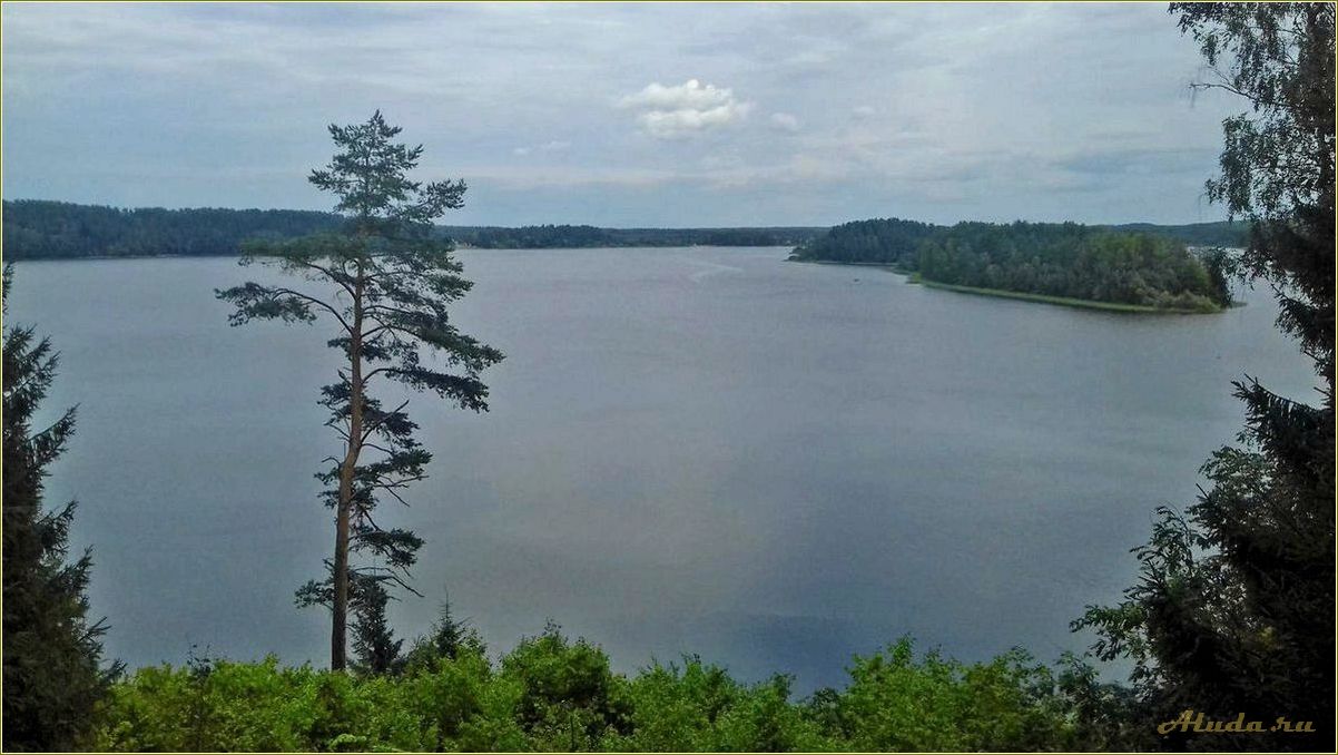 Пржевальское база отдыха на Сапшо, Смоленская область
