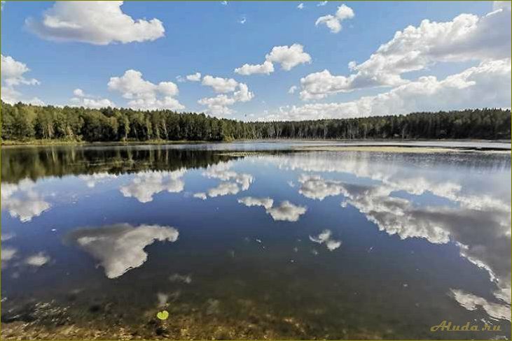 Путешествие по красочной новосибирской области на автомобиле — открытие красоты природы и богатства культурного наследия