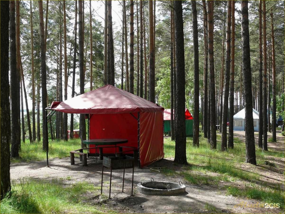 Возможности трудоустройства на базах отдыха в Новосибирской области — отличный выбор для работы и отдыха