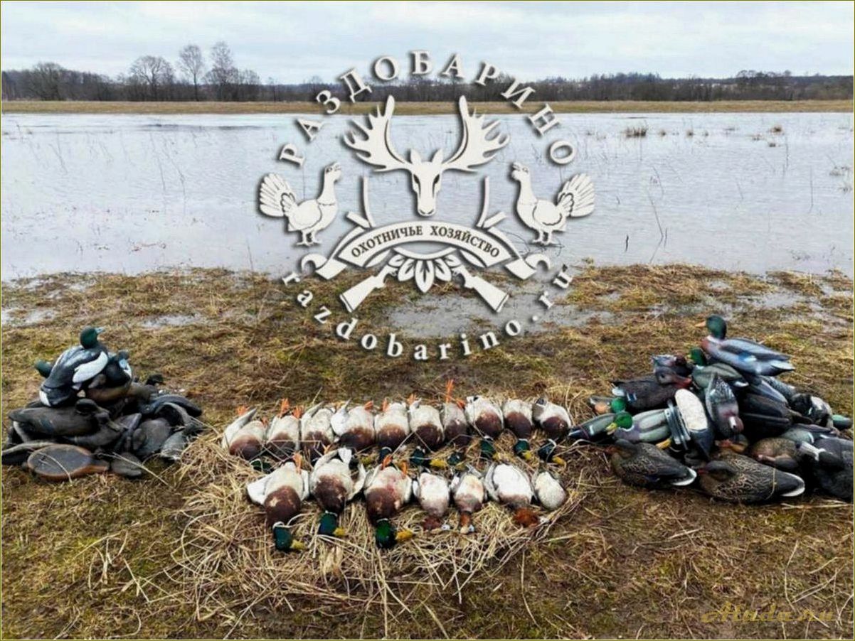 (раздобарино, смоленская, область, база, отдыха) Раздобарино: смоленская область база отдыха
