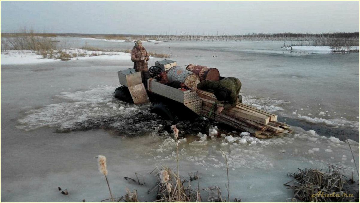 (раздобарино, смоленская, область, база, отдыха) Раздобарино: смоленская область база отдыха