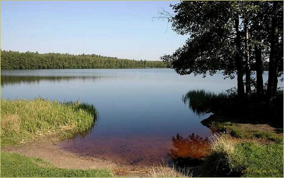 (рязанская, область, идеальное, место, рыбалки) Рязанская область — идеальное место для рыбалки на живописных озерах