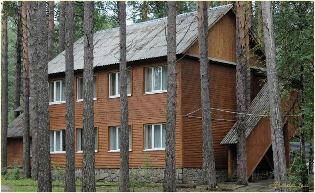Россия Свердловская область Сысертский городской округ база отдыха Газпром
