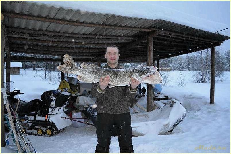(рыбалка, базе, отдыха, свердловской, области) Рыбалка на базе отдыха в Свердловской области