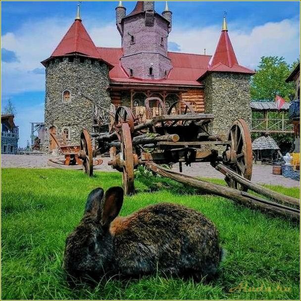 Отдых в Сатке, Челябинская область: лучшие места для семейного отдыха