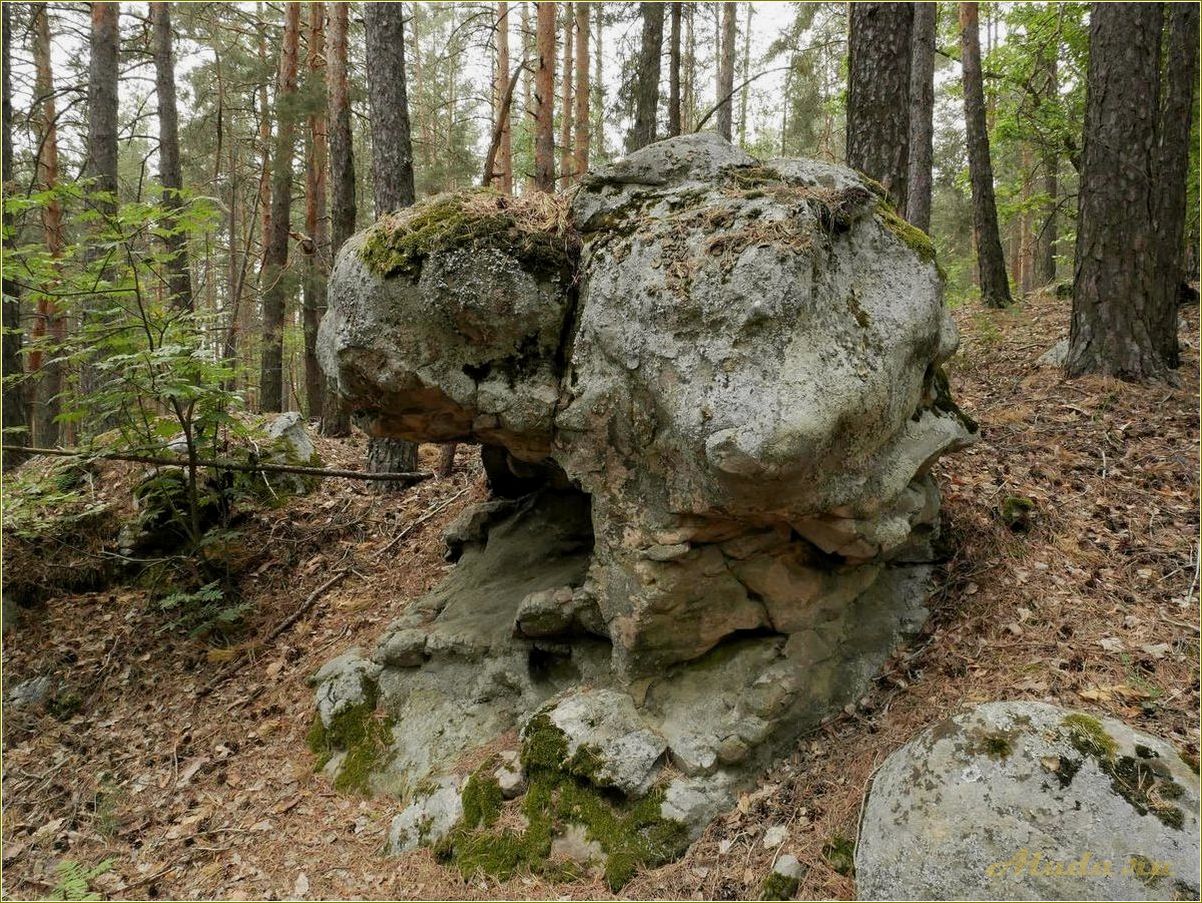 (исследуйте, достопримечательности, смолькино, самарской, области) Исследуйте достопримечательности Смолькино в Самарской области
