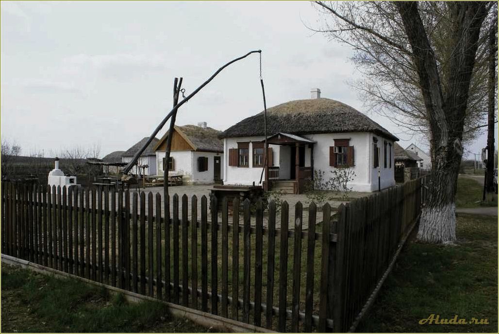 Станица Вешенская Ростовской области — лучшие базы отдыха для отпуска на природе