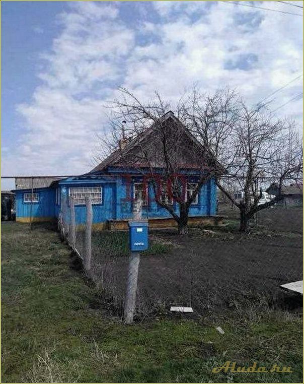 (танеевка, идеальное, место, отдыха, лунинском) Танеевка — идеальное место для отдыха в Лунинском районе Пензенской области