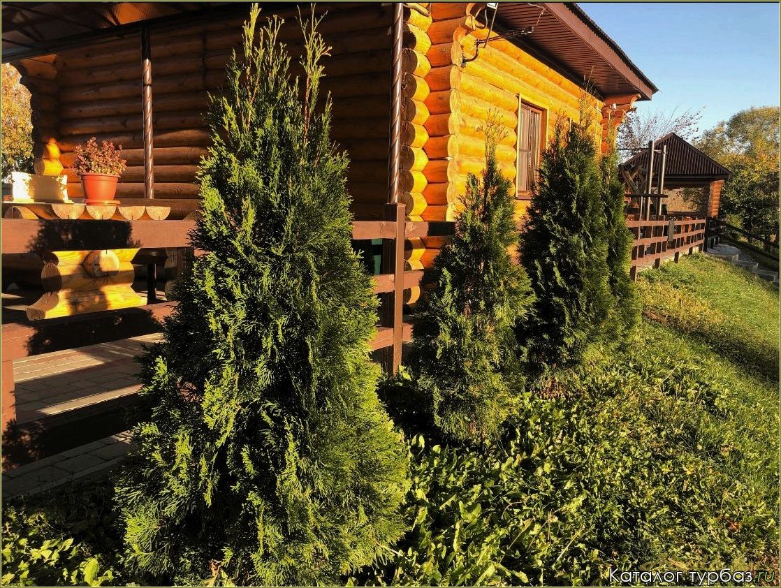 (тригуляй, тамбовская, область, база, отдыха) Тригуляй — тамбовская область база отдыха