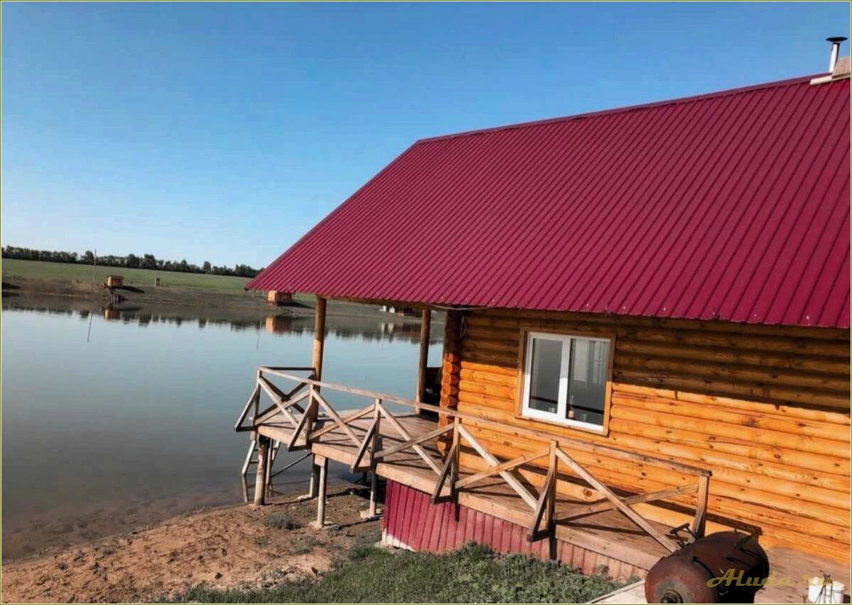 Турбазы отдыха в Пензе и Пензенской области — где провести незабываемый отпуск