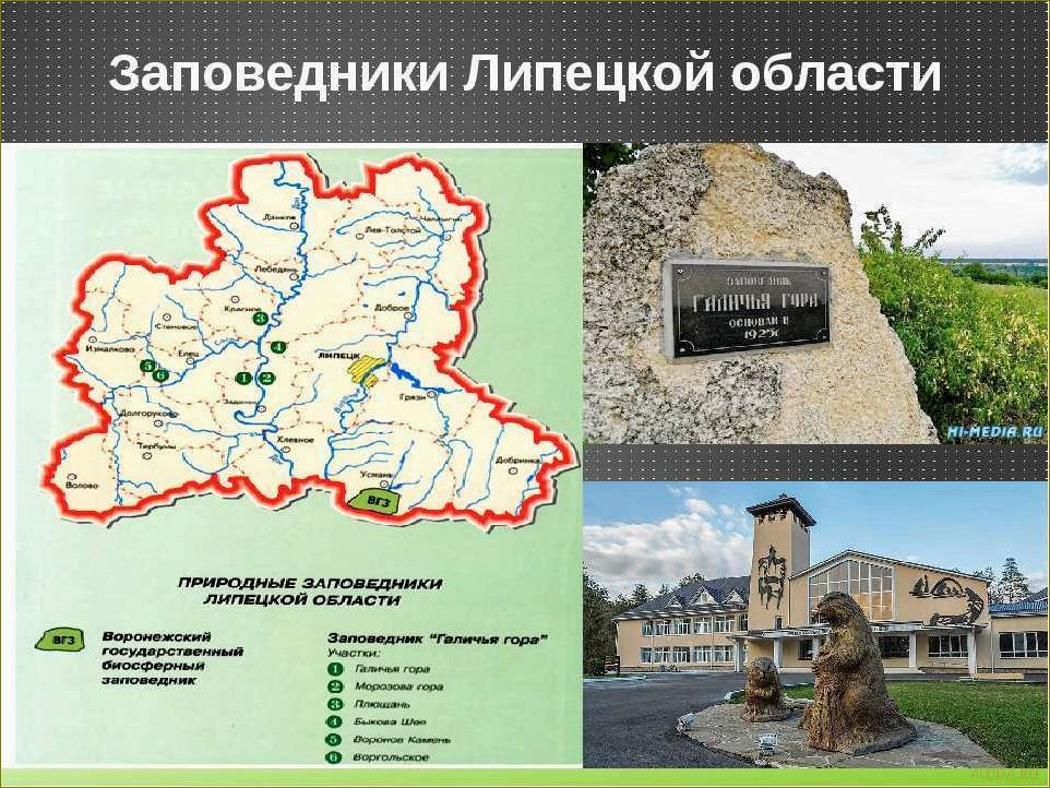 Туристические достопримечательности Липецкой области — уникальные природные уголки, исторические памятники и культурные сокровища