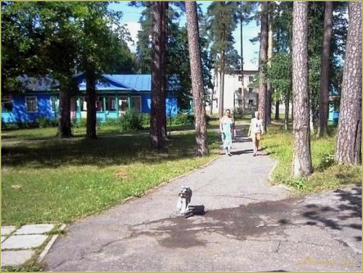 Ульяновская область: Белое озеро — база отдыха