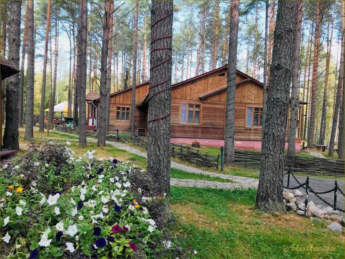 Уникальные возможности отдыха в Уста база отдыха в Нижегородской области — гарантированное удовольствие для всей семьи