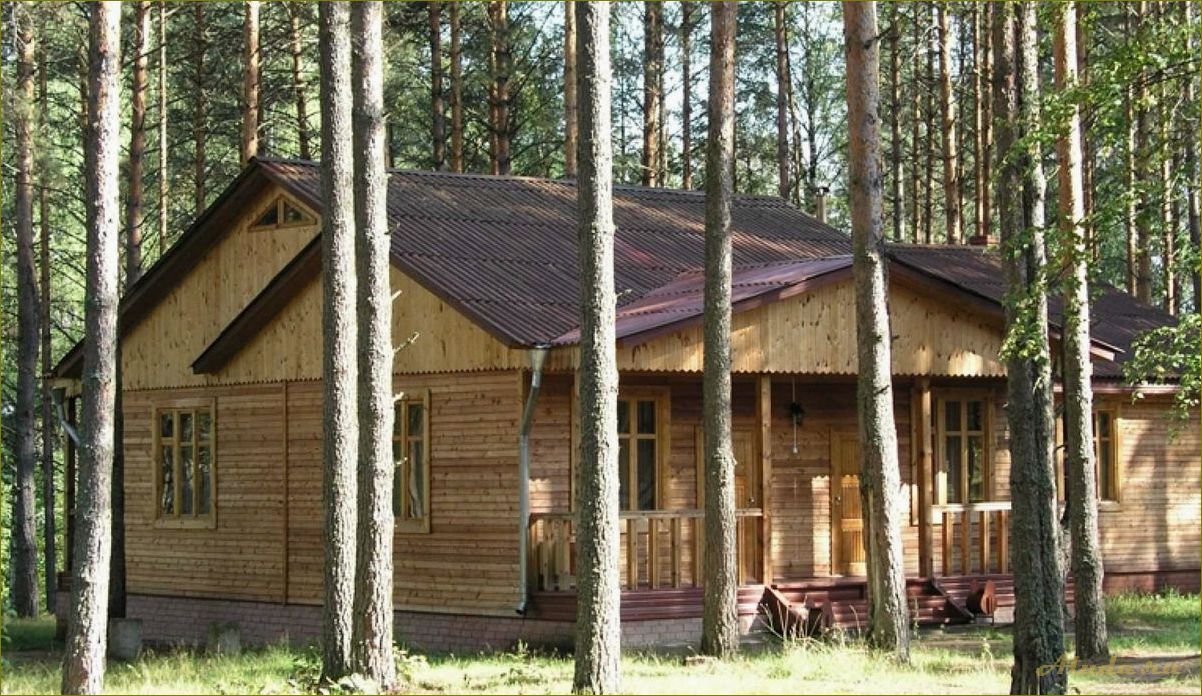 Уникальные возможности отдыха в Уста база отдыха в Нижегородской области — гарантированное удовольствие для всей семьи