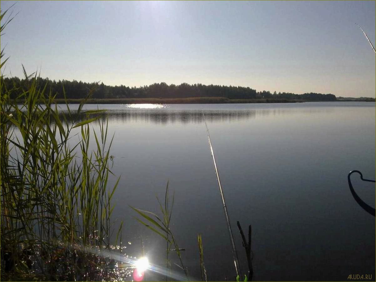 (лучшие, водоемы, липецкой, области, семейного) Лучшие водоемы Липецкой области для семейного и активного отдыха — где насладиться природой и водными развлечениями