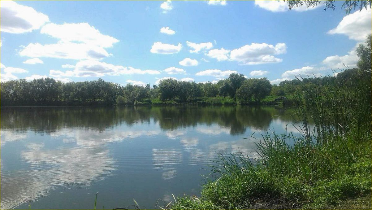 (лучшие, водоемы, липецкой, области, семейного) Лучшие водоемы Липецкой области для семейного и активного отдыха — где насладиться природой и водными развлечениями