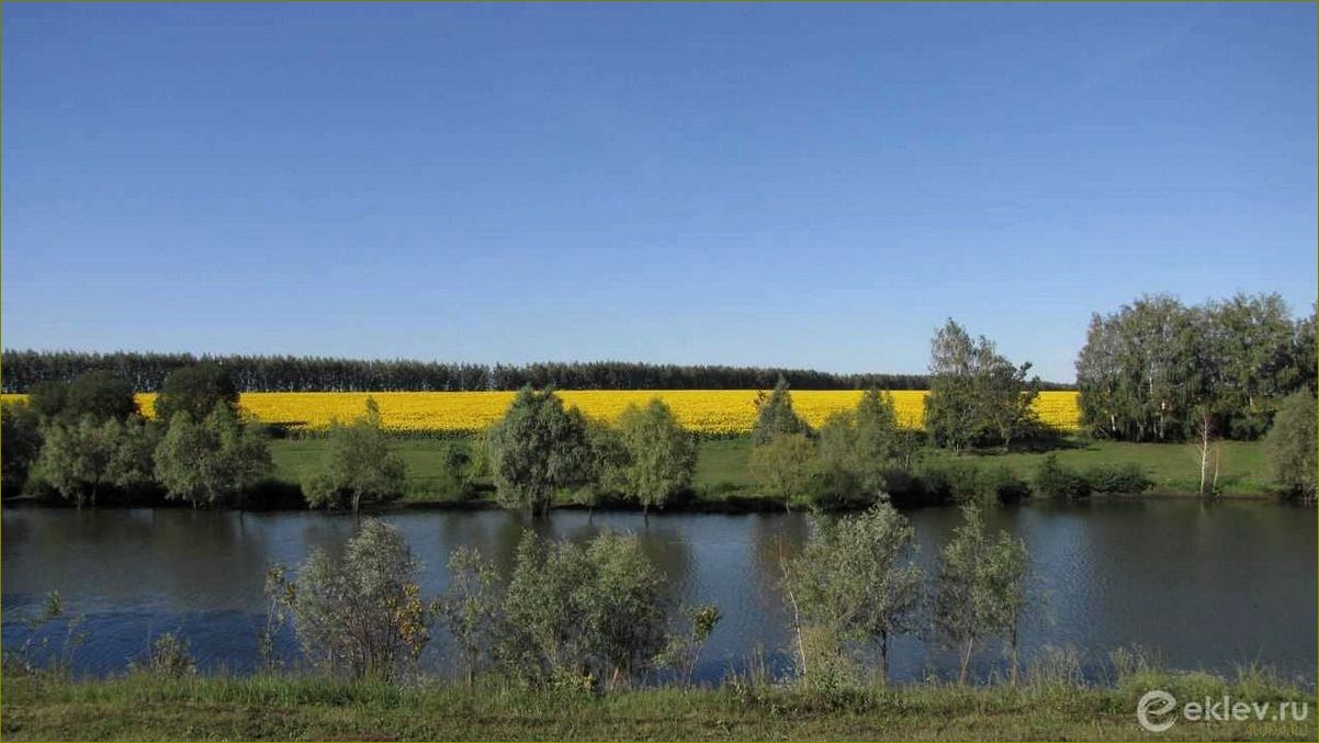 (лучшие, водоемы, липецкой, области, семейного) Лучшие водоемы Липецкой области для семейного и активного отдыха — где насладиться природой и водными развлечениями