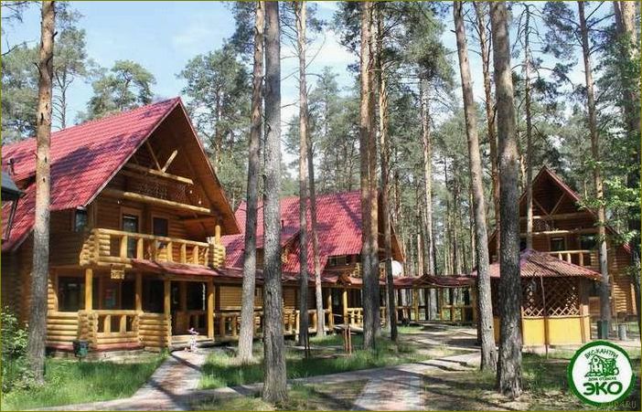 База домов отдыха Владимирской области — лучшие варианты размещения для комфортного отдыха в прекрасных краях региона