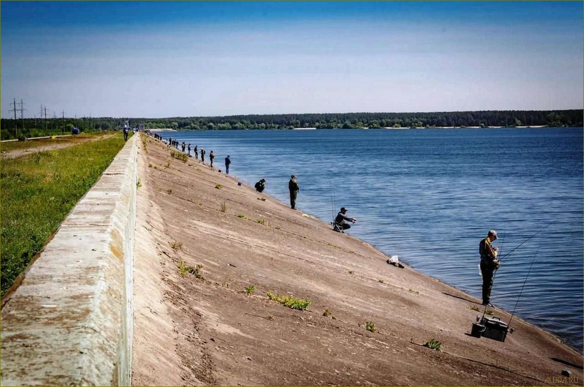 База отдыха на Матырском водохранилище — идеальное место для отдыха в Липецкой области, в окружении природы и комфорта