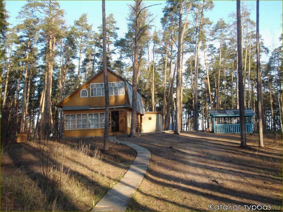 (база, отдыха, прометей, московской, области) База отдыха
