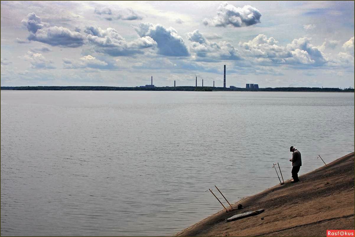 База отдыха на Матырском водохранилище — идеальное место для отдыха в Липецкой области, в окружении природы и комфорта