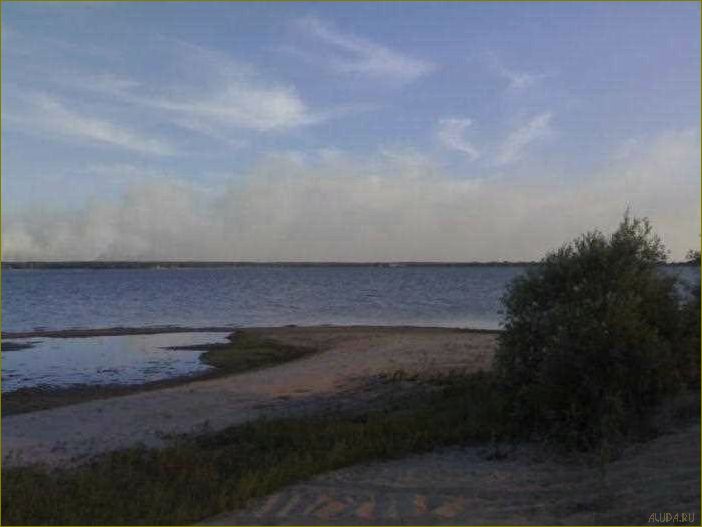 База отдыха на Матырском водохранилище — идеальное место для отдыха в Липецкой области, в окружении природы и комфорта
