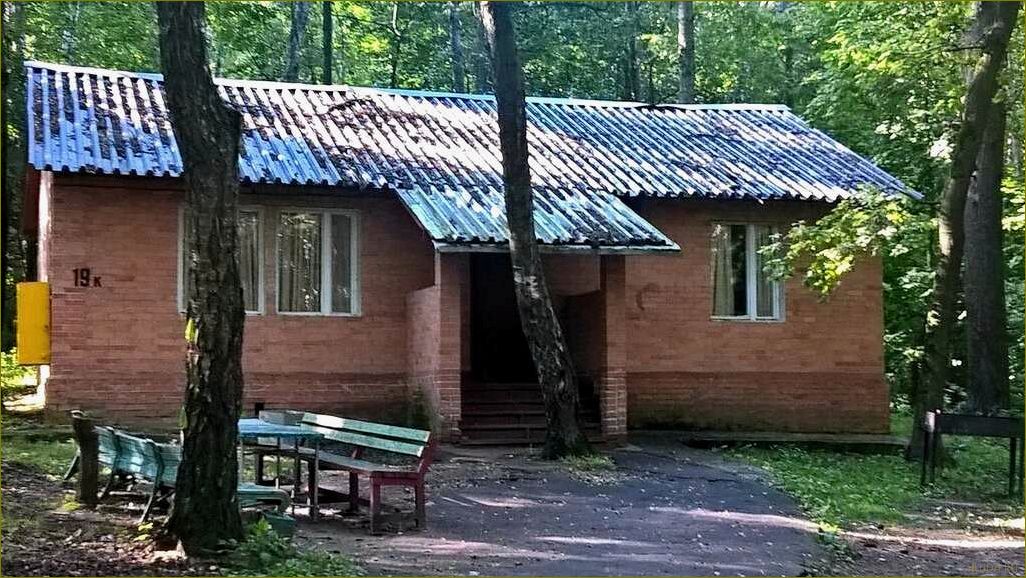 Лучшие базы отдыха в Луховицах, Московская область — идеальное место для отдыха и развлечений