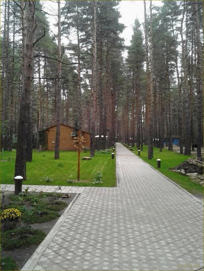 Базы отдыха урюпинского района Волгоградской области — лучшие места для отдыха и развлечений в живописных краях России