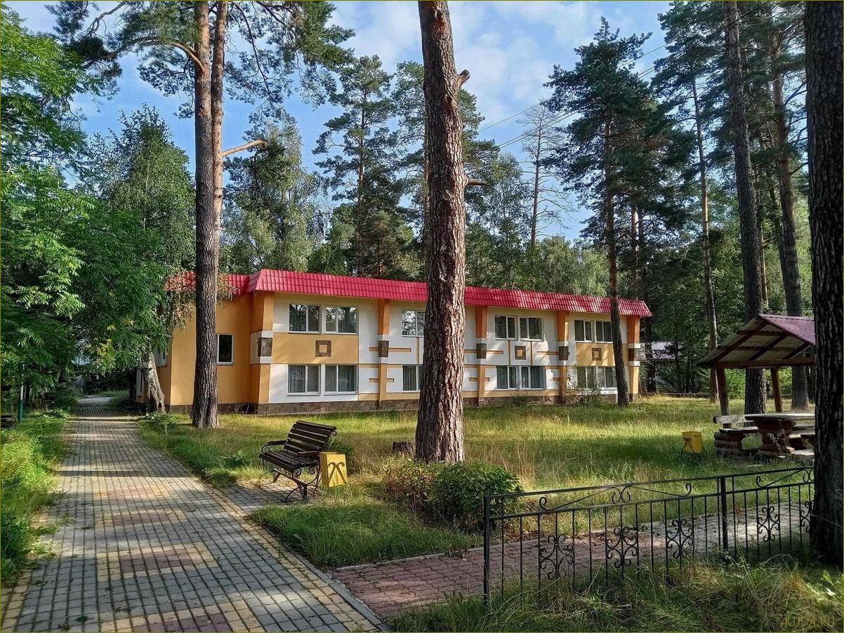 Брянская область. Лучшие базы отдыха с полным питанием для незабываемого отдыха в окружении природы