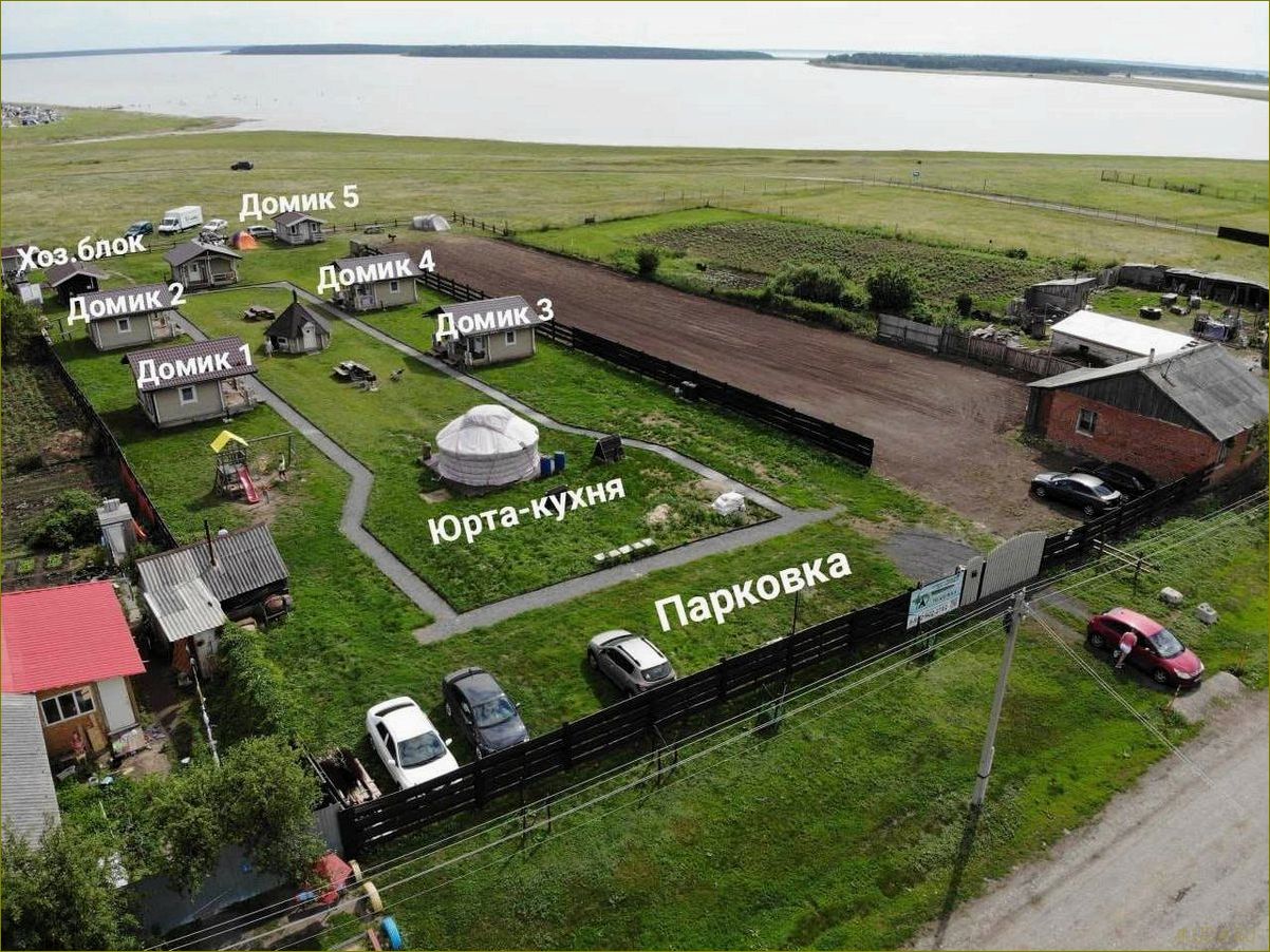 Откройте для себя великолепие Курганской области и насладитесь незабываемым отдыхом в окружении медвежьей природы