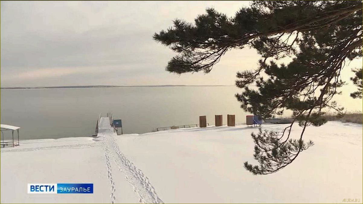 Откройте для себя великолепие Курганской области и насладитесь незабываемым отдыхом в окружении медвежьей природы
