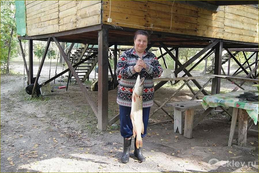 Донская вольница — база отдыха в Волгоградской области, где можно насладиться прекрасной природой и активным отдыхом