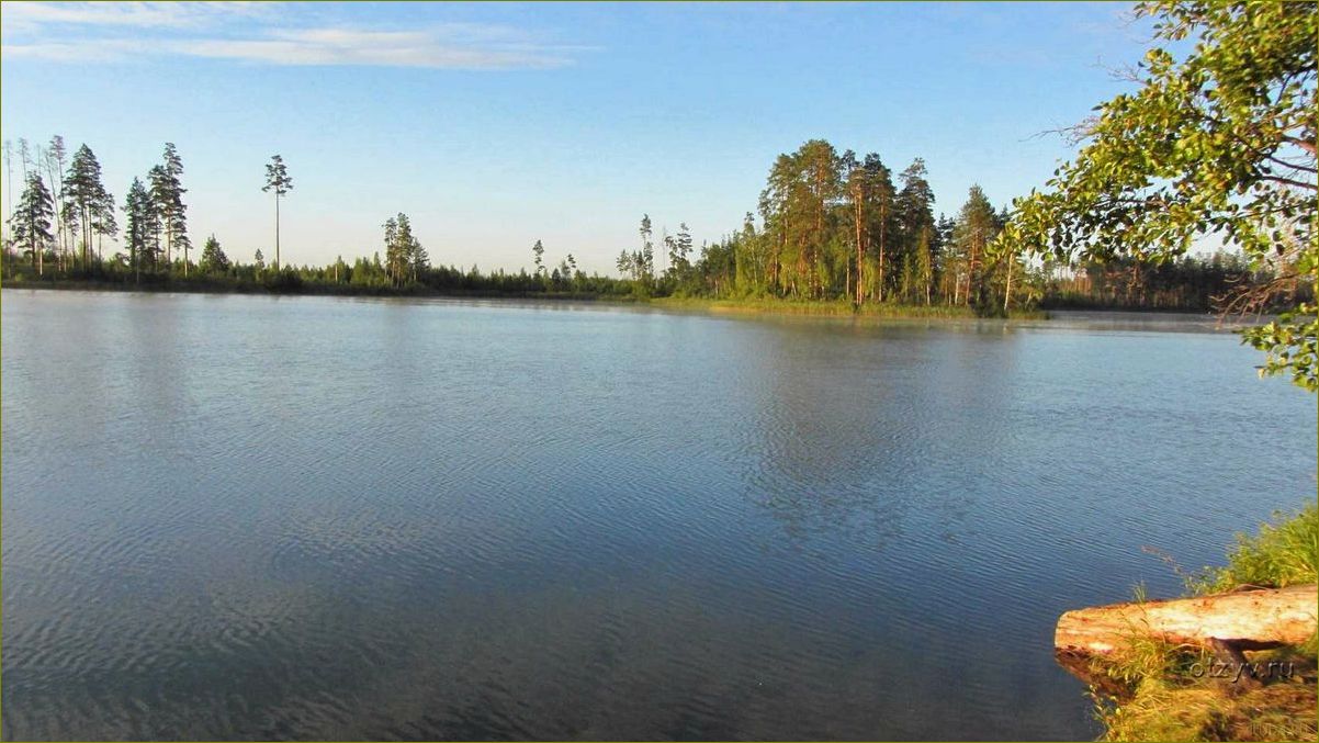 Ивановская область — идеальное место для южного отдыха с богатым культурным наследием, уникальными природными пейзажами и гостеприимными жителями